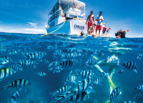 Discover the Complete Fiji Island Hopper Adventure