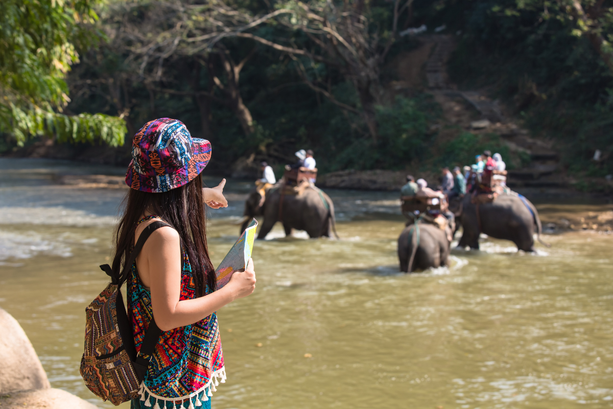 Golden Triangle Tour with Wildlife