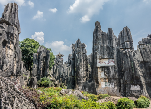 Vietnam Grand Discovery